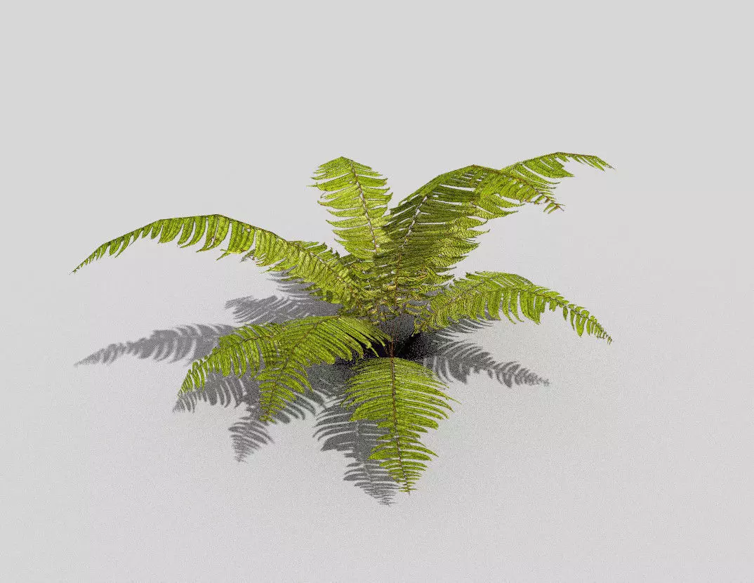 low poly tropical foliage Low-poly 3D model