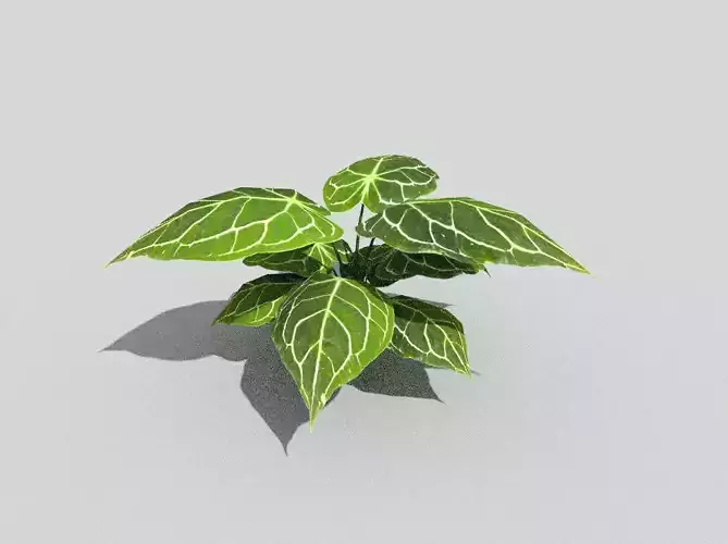 low poly tropical foliage