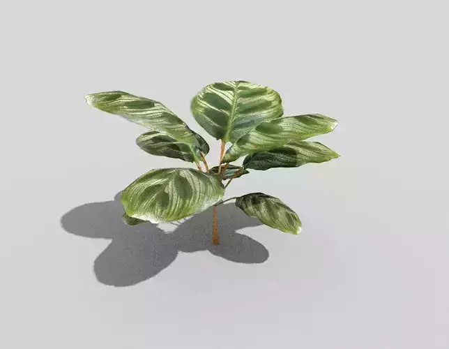 low poly tropical foliage Low-poly 3D model