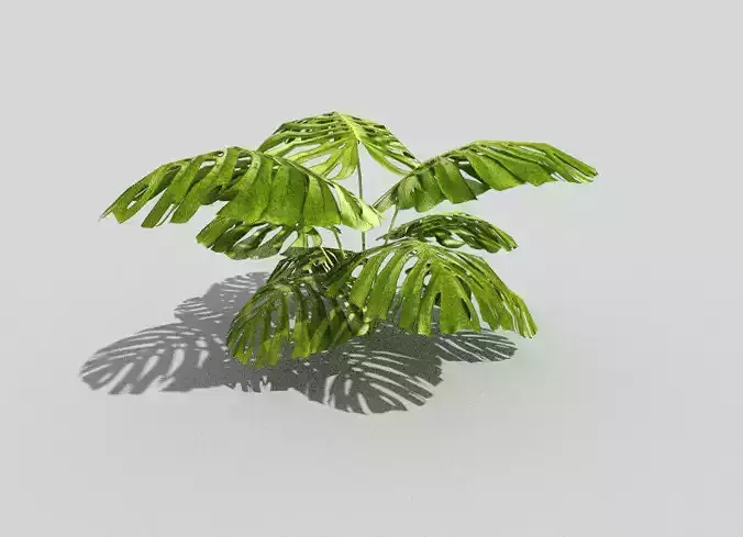 low poly tropical foliage Low-poly 3D model