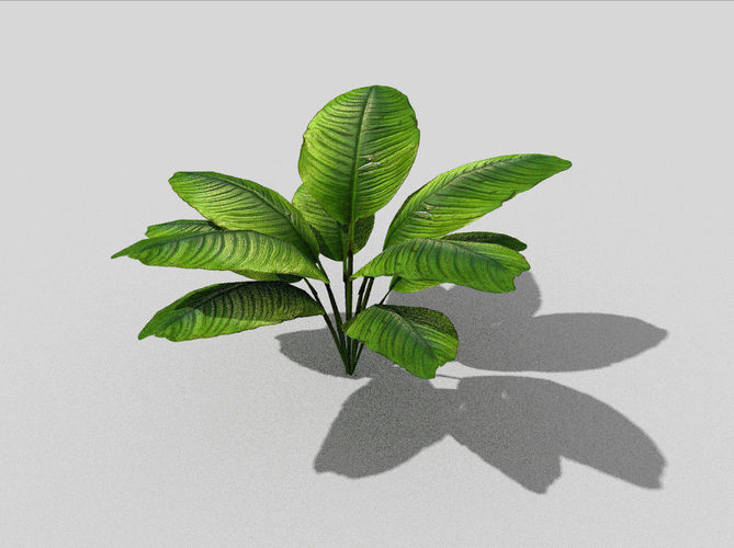 low poly tropical foliage Low-poly 3D model