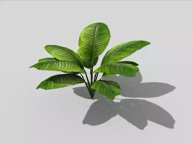 low poly tropical foliage Low-poly 3D model