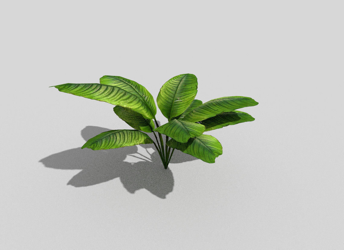 low poly tropical foliage Low-poly 3D model_1