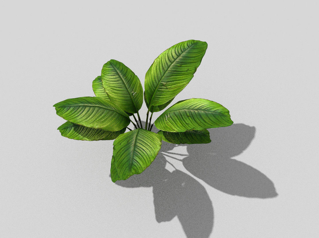 low poly tropical foliage Low-poly 3D model_2