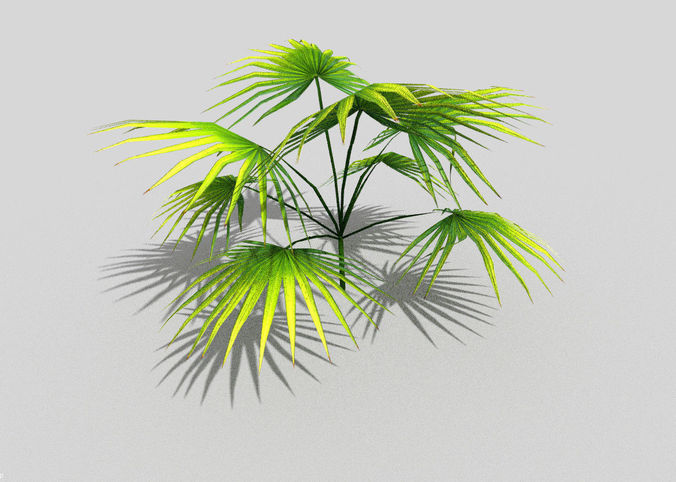 low poly tropical foliage Free low-poly 3D model