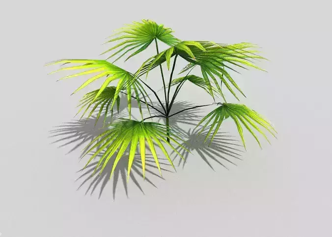 low poly tropical foliage Free low-poly 3D model