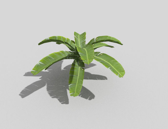 low poly tropical foliage Low-poly 3D model