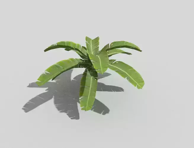 low poly tropical foliage Low-poly 3D model