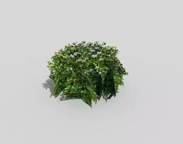 low poly tropical foliage Low-poly 3D model