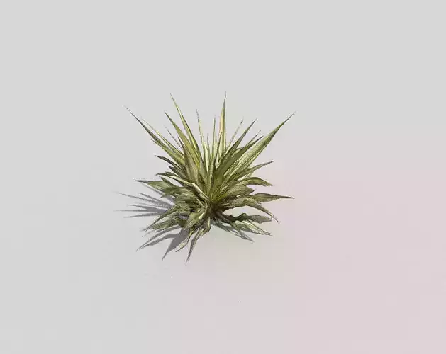 low poly tropical foliage Low-poly 3D model