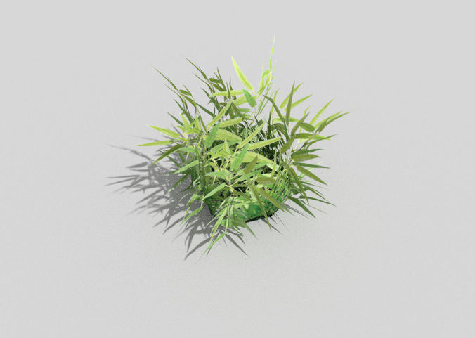 low poly tropical foliage Low-poly 3D model