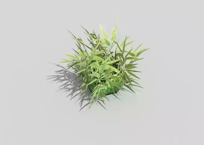 low poly tropical foliage Low-poly 3D model