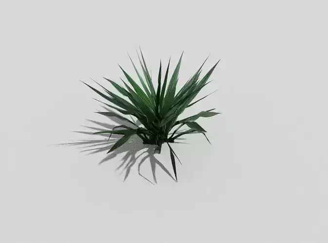 low poly tropical foliage