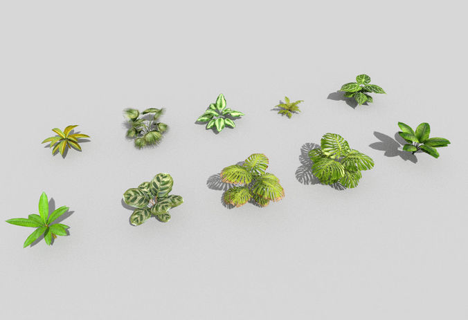 10 low poly tropical foliage pack Low-poly 3D model