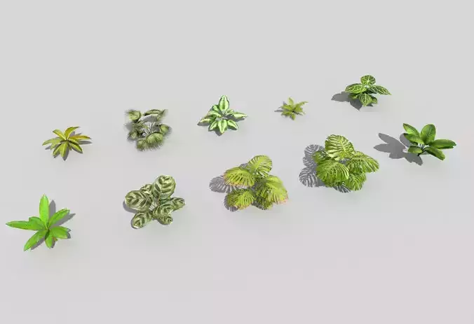 10 low poly tropical foliage pack Low-poly 3D model