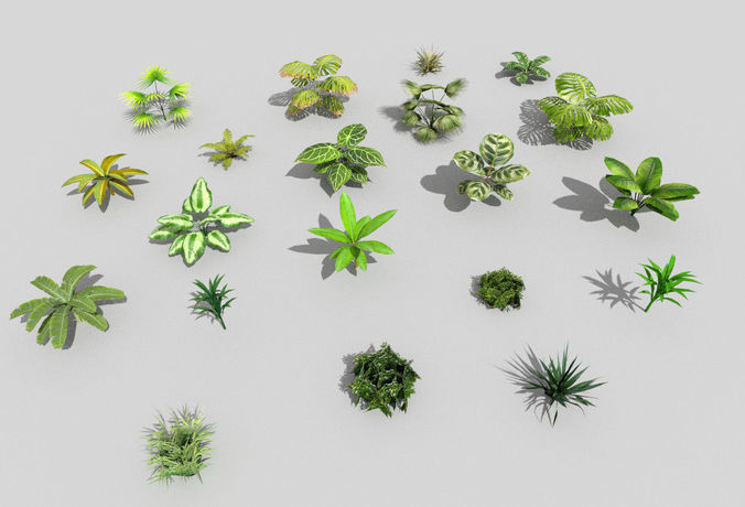20 low poly tropical foliage pack Low-poly 3D model