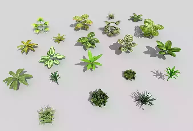 20 low poly tropical foliage pack Low-poly 3D model