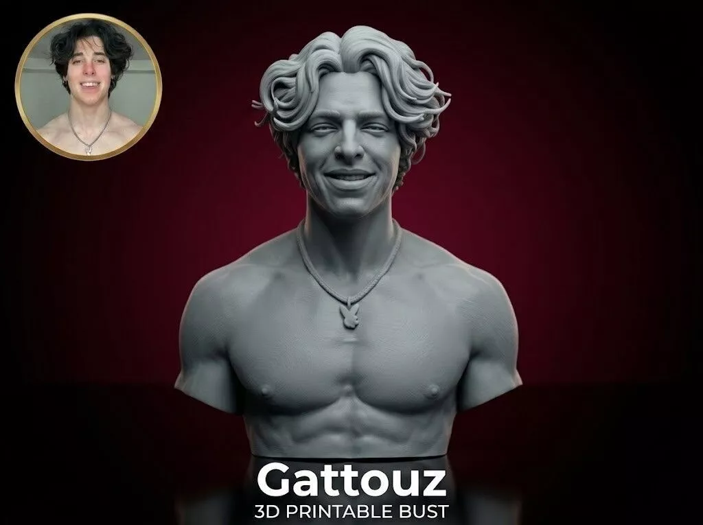Gattouz bust 3D print model