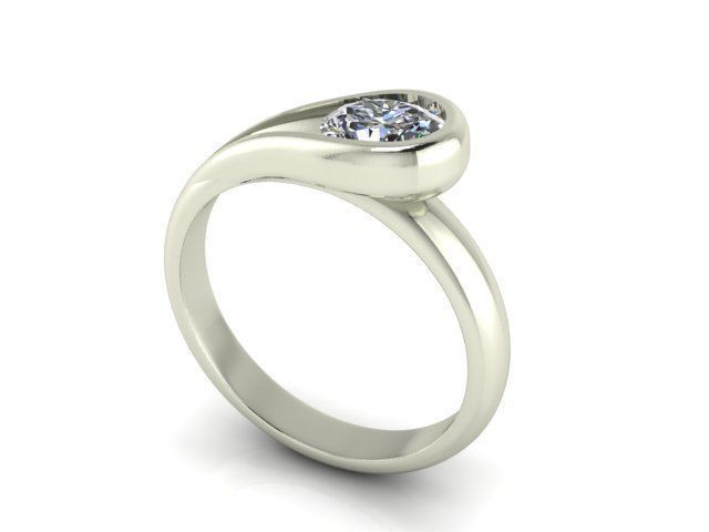 Ring R0026 3D print model_1