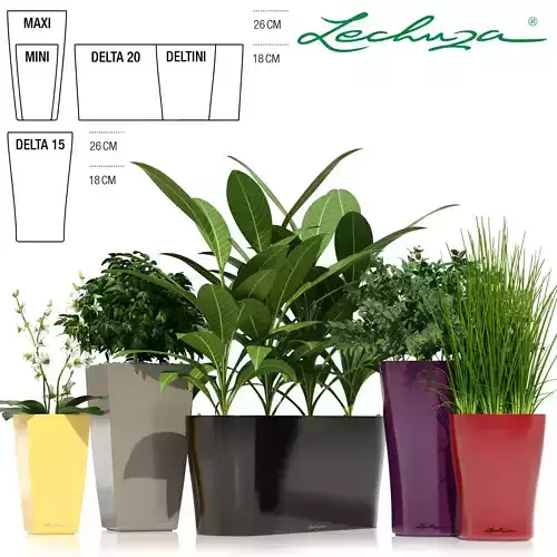Plants collection 26 Lechuza Desktop pots