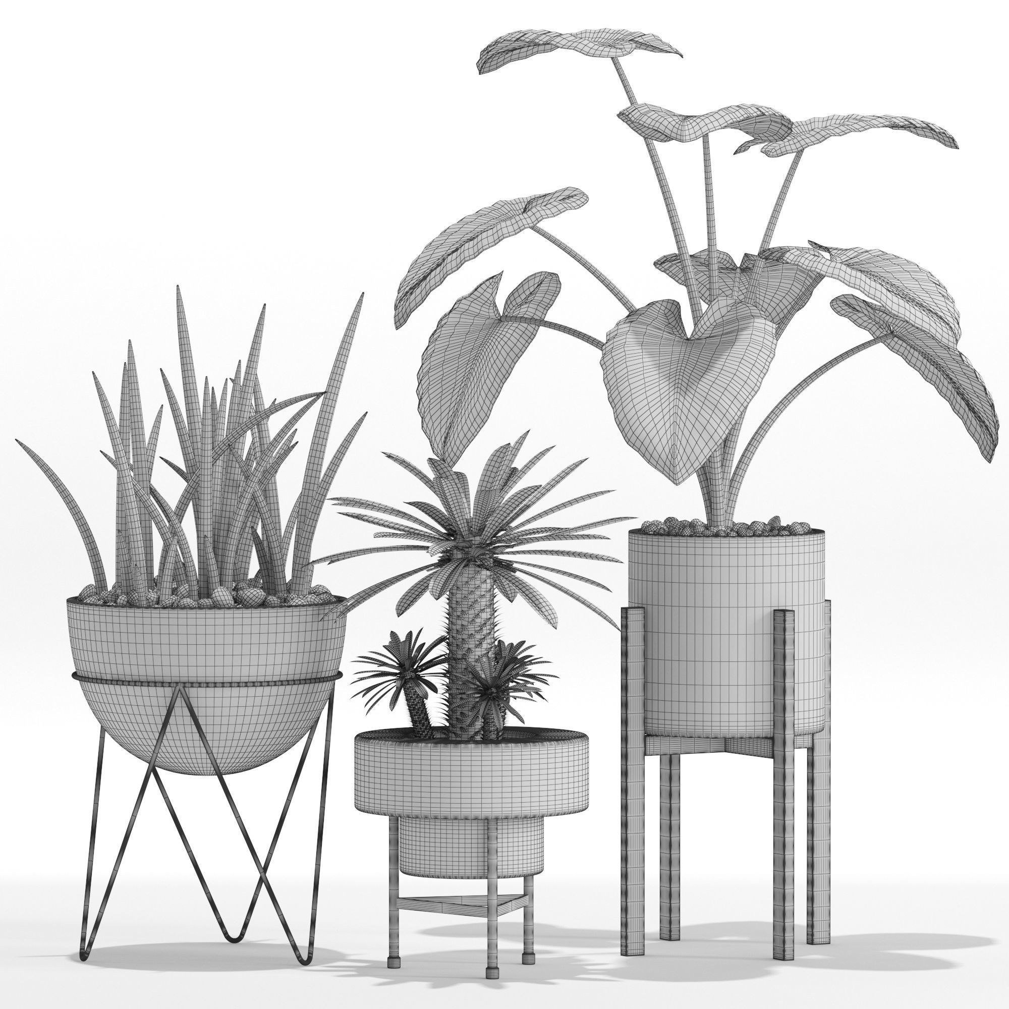 Plants collection 27 3D model_3