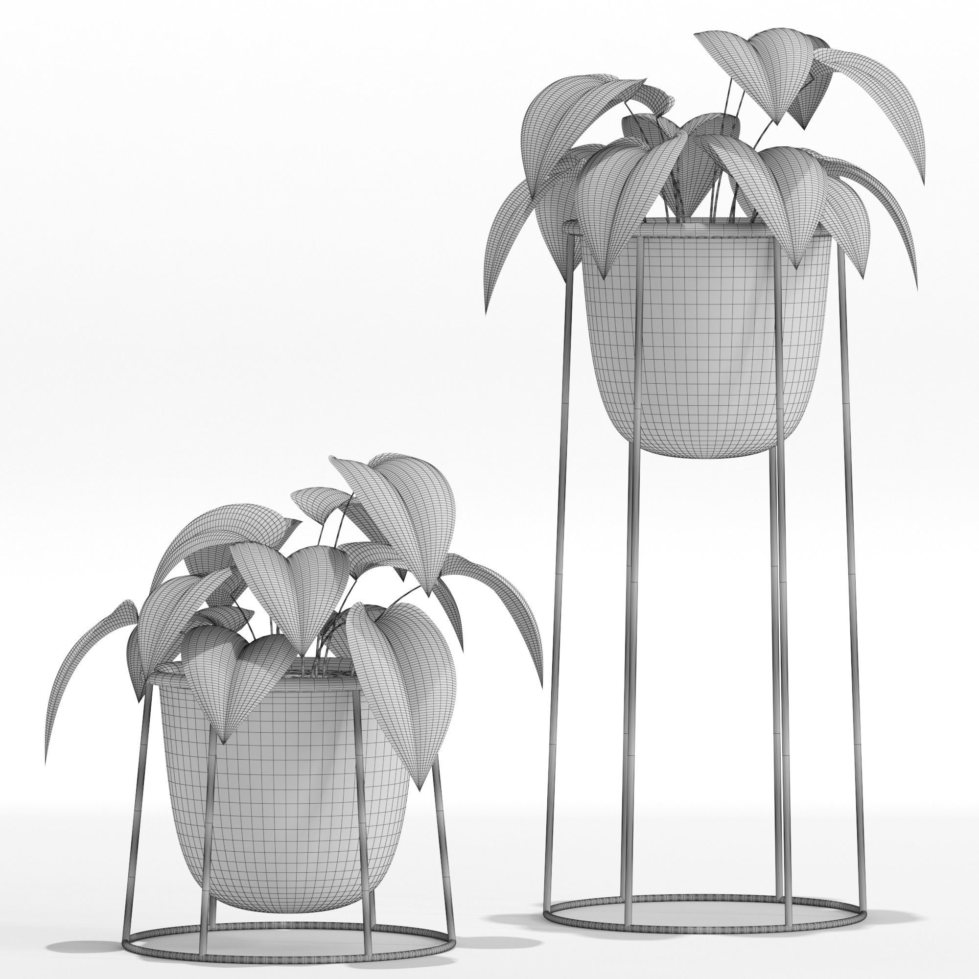 Plants collection 27 3D model_5