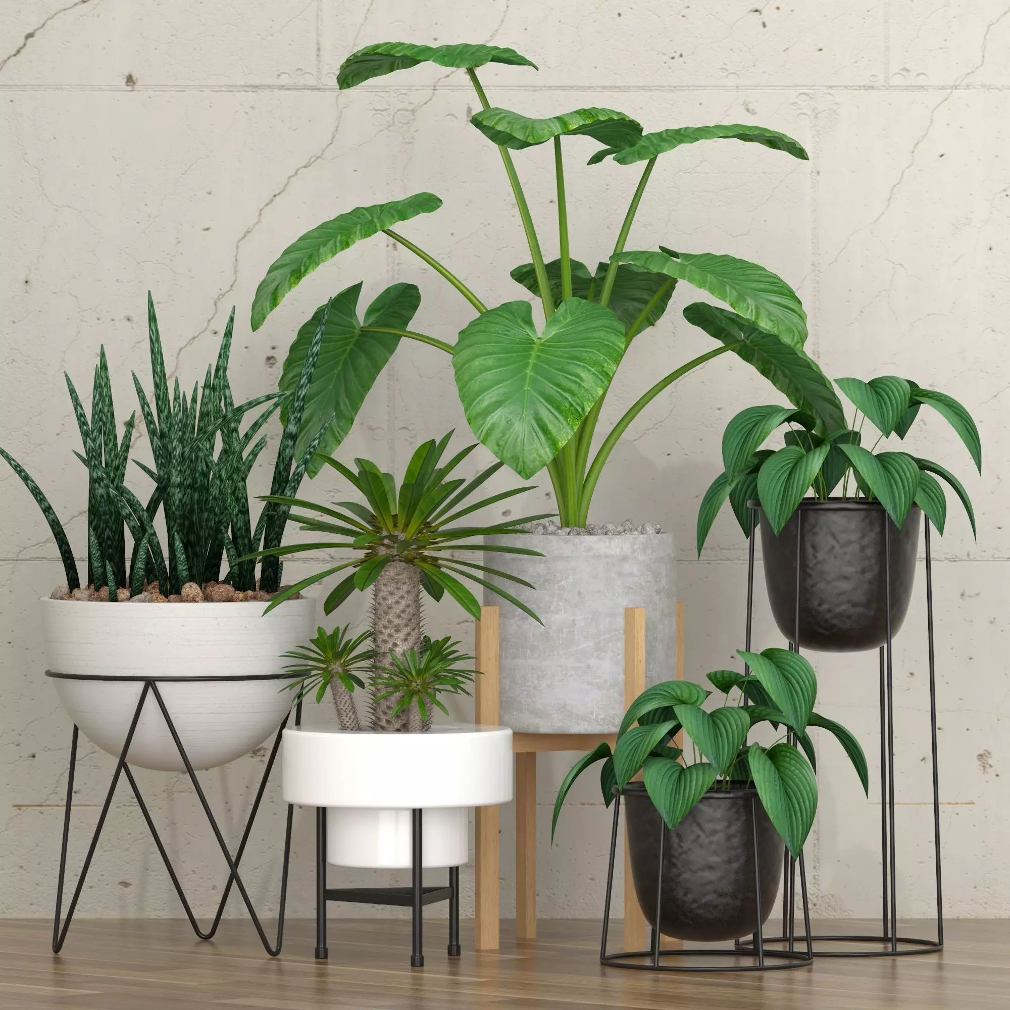 Plants collection 27 3D model_0