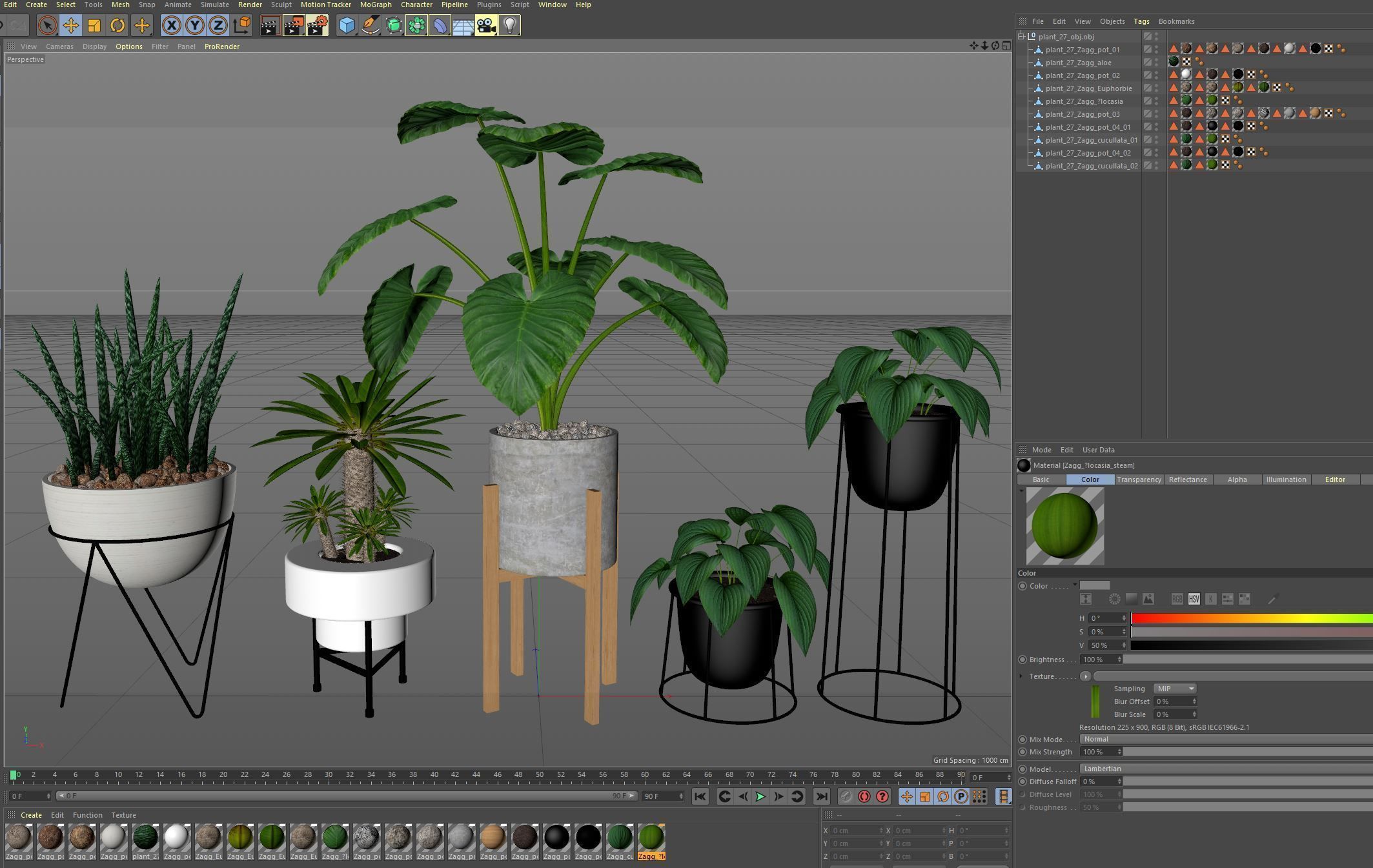 Plants collection 27 3D model_7
