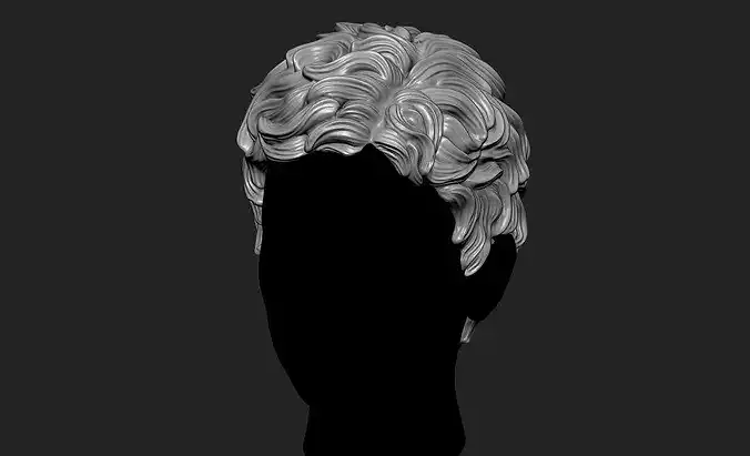 Curly Female 3D Hair Model OBJ STL 3D print model