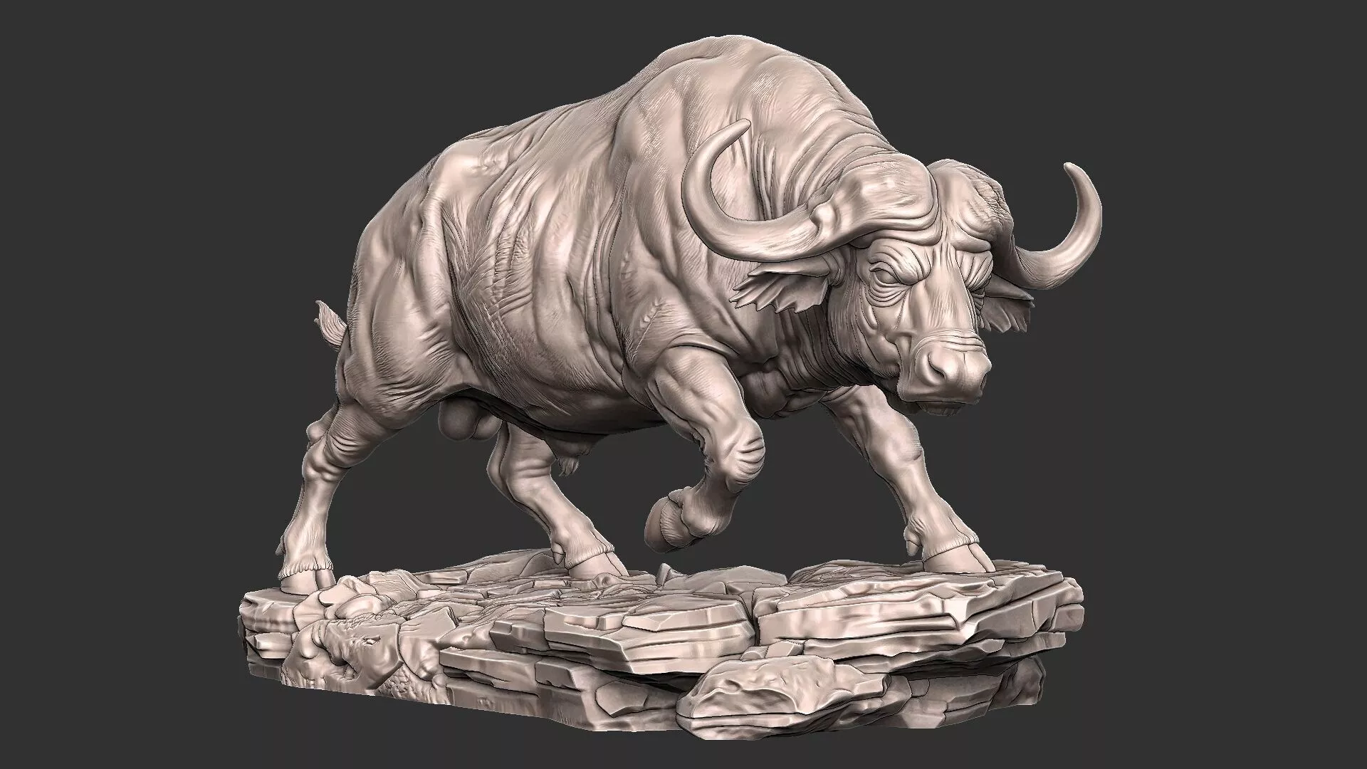 African Cape Buffalo - Wildlife - Mammals 3D print model