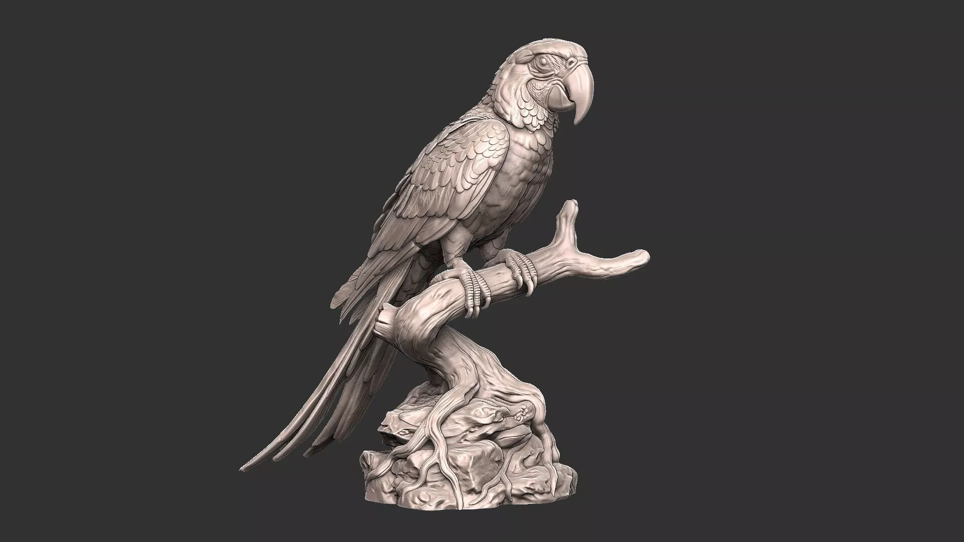 Macaw Parrot - Wildlife - Birds 3D print model