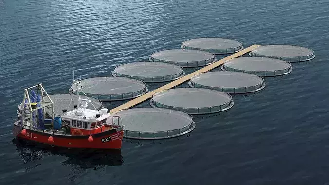 Marine Fish Cage Array with Central Pier and Catch Boat 3D model