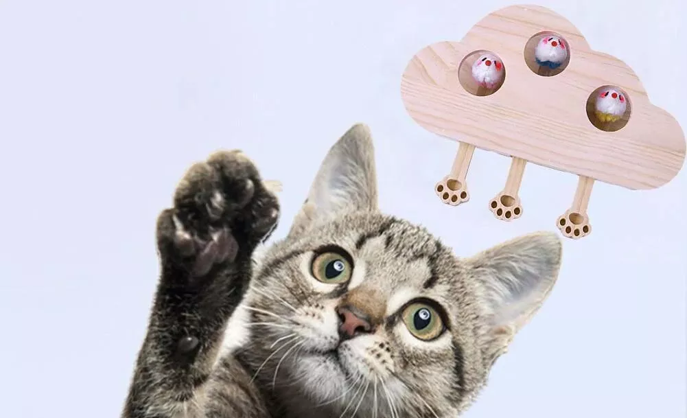Paw-Push Interactive Cat Toy - One Piece Print-in-Place 3D print model