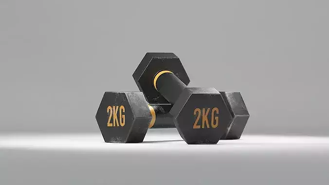 Gym Dumbbell 2