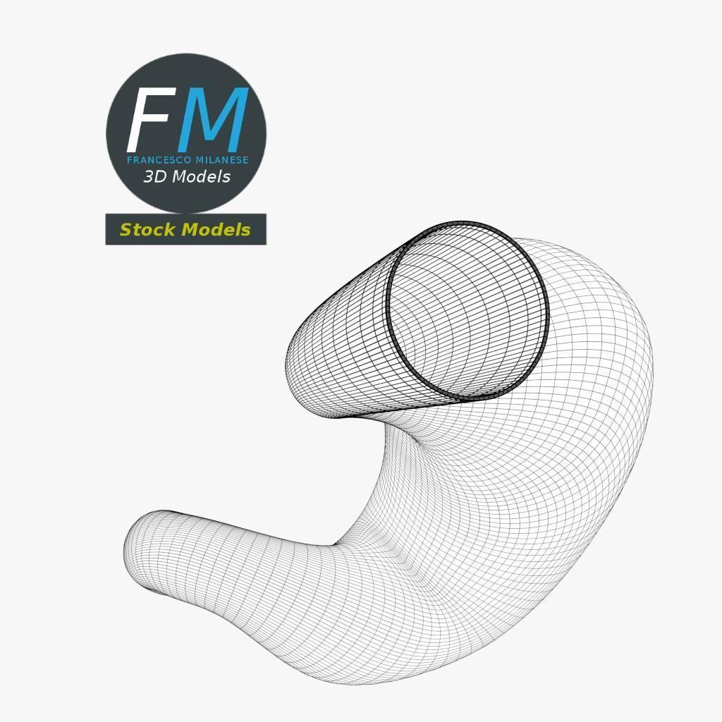 Anatomy - Human stomach 3D model_8