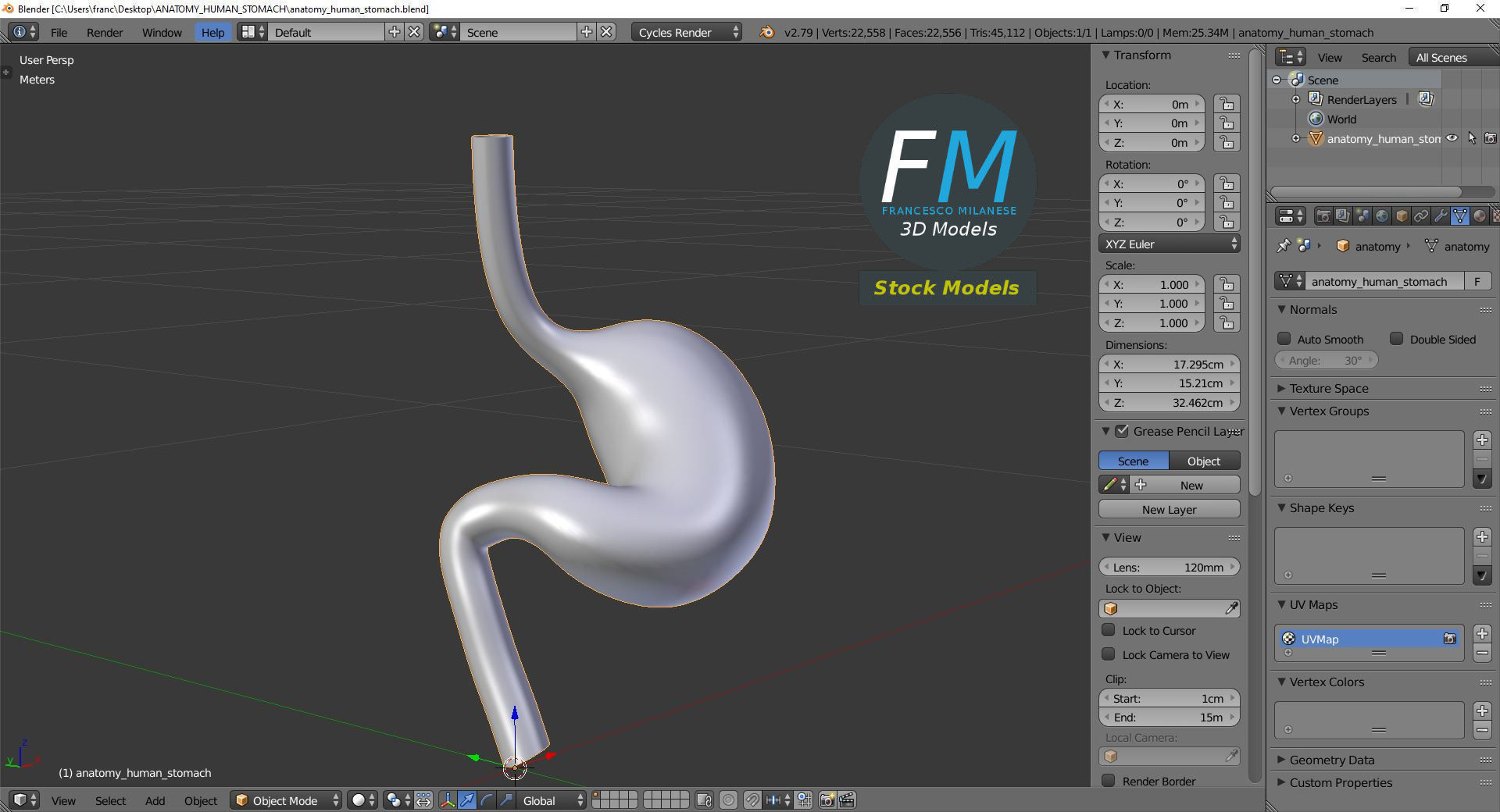 Anatomy - Human stomach 3D model_9