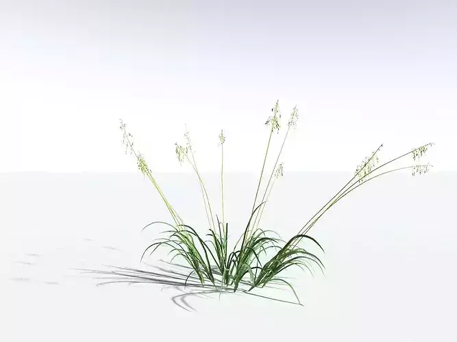 EVERYPlant Sea Oats LowPoly