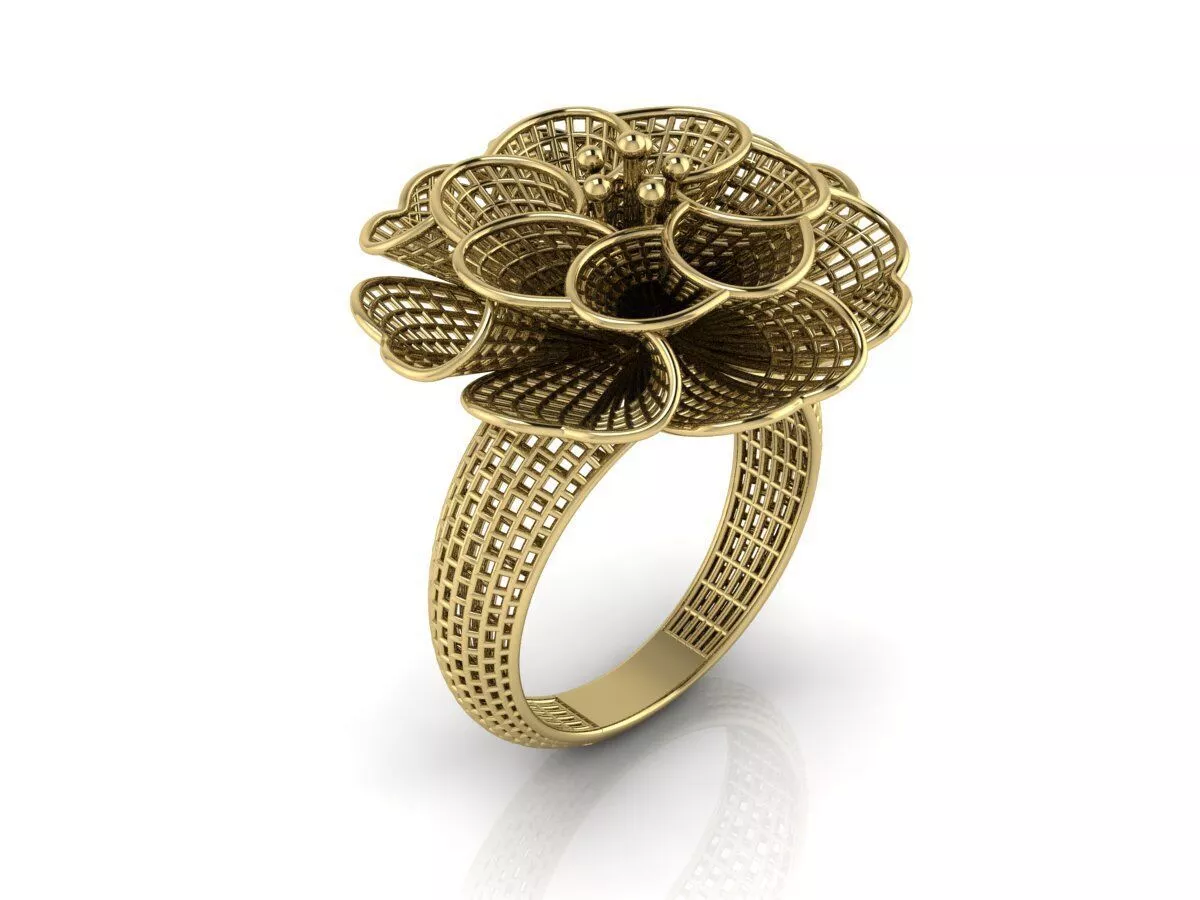 Ultra Vision Ring 3D print model