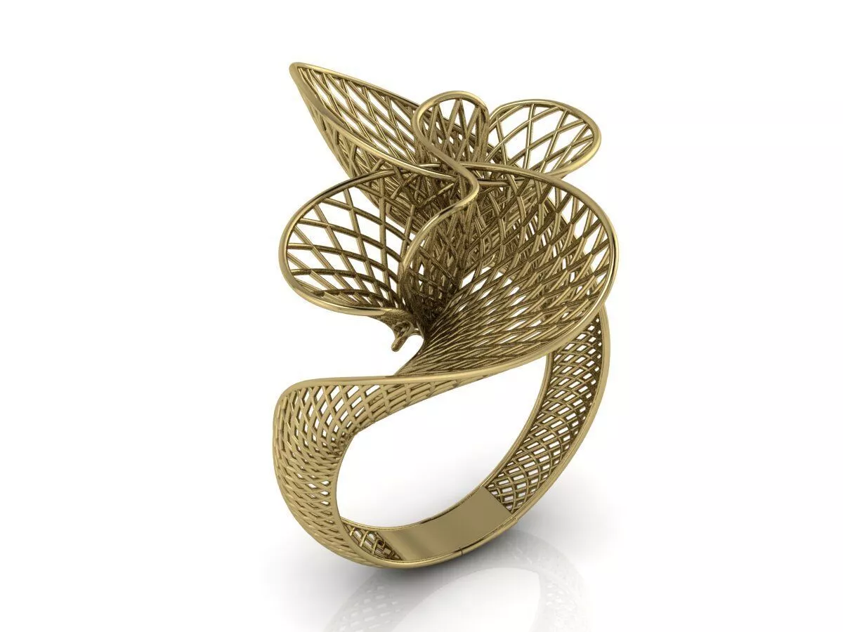 Ultra Vision Ring 3D print model