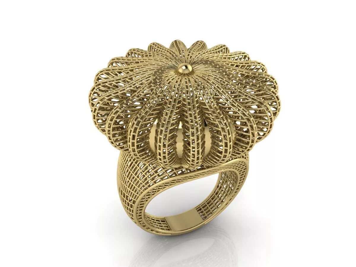 Ultra Vision Ring 3D print model