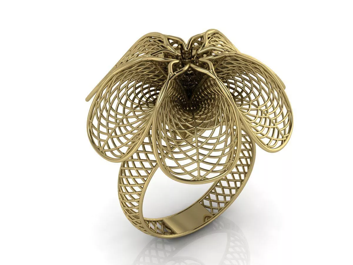 Ultra Vision Ring 3D print model