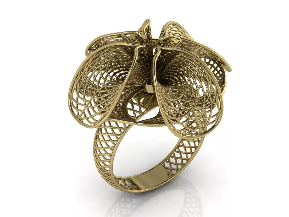 Ultra Vision Ring 3D print model