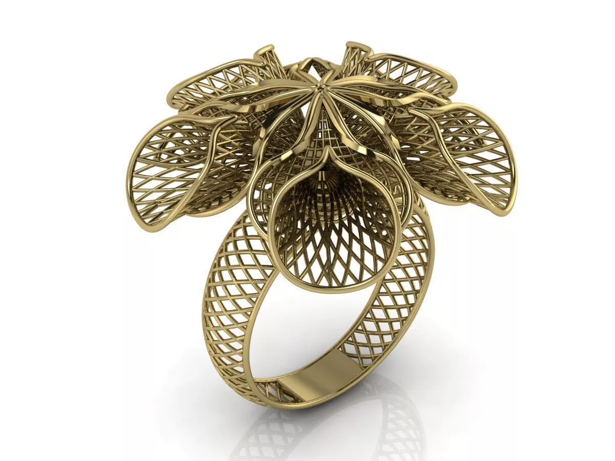 Ultra Vision Ring 3D print model