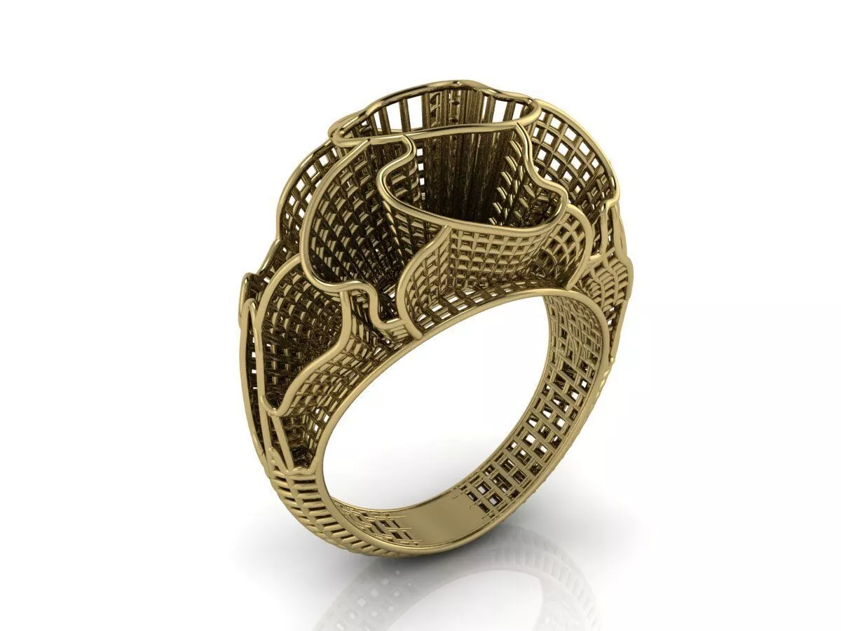 Ultra Vision Ring 3D print model