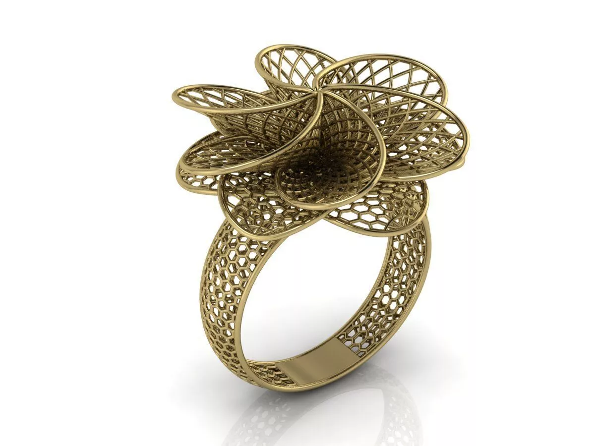 Ultra Vision Ring 3D print model