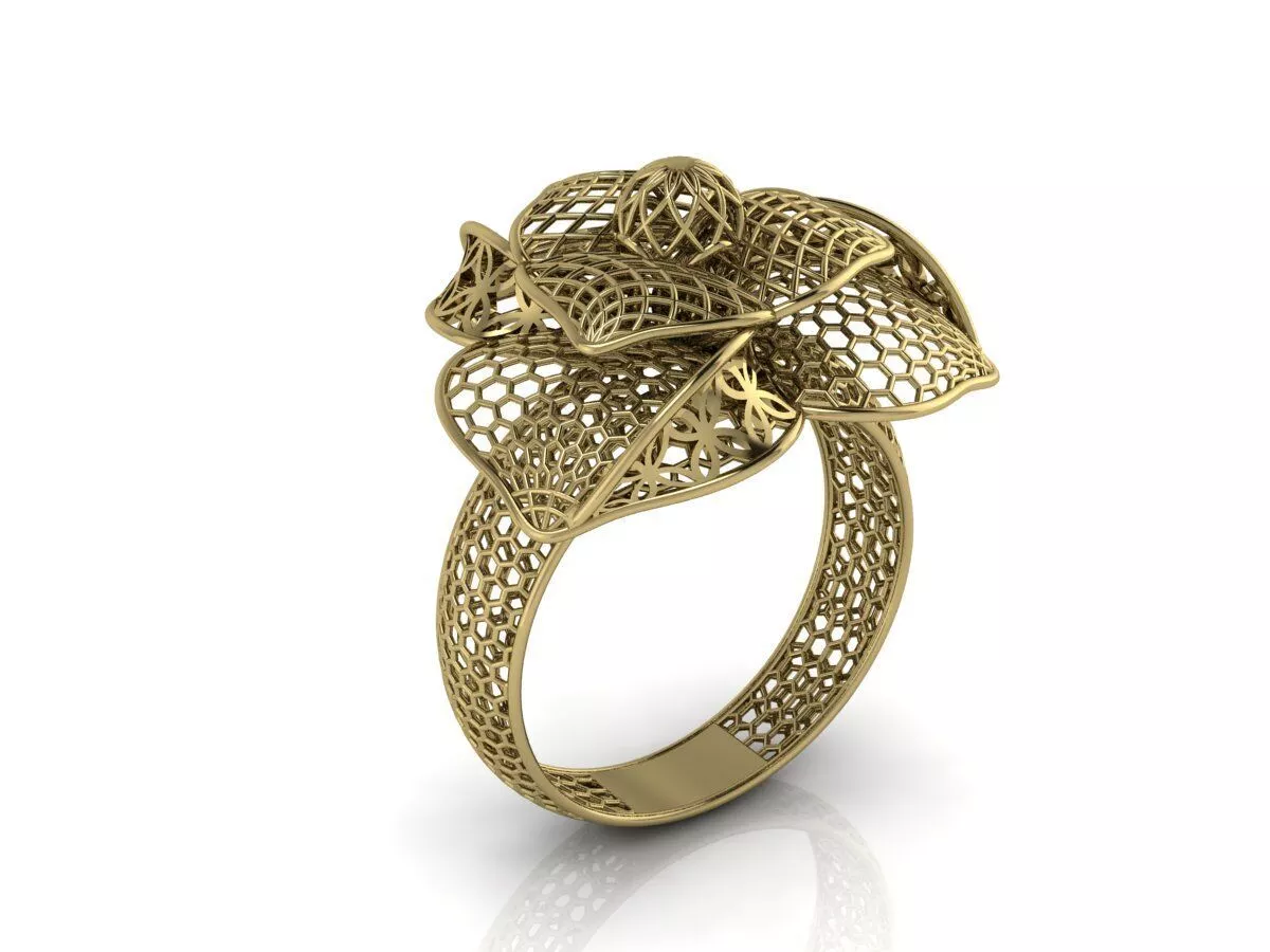 Ultra Vision Ring 3D print model