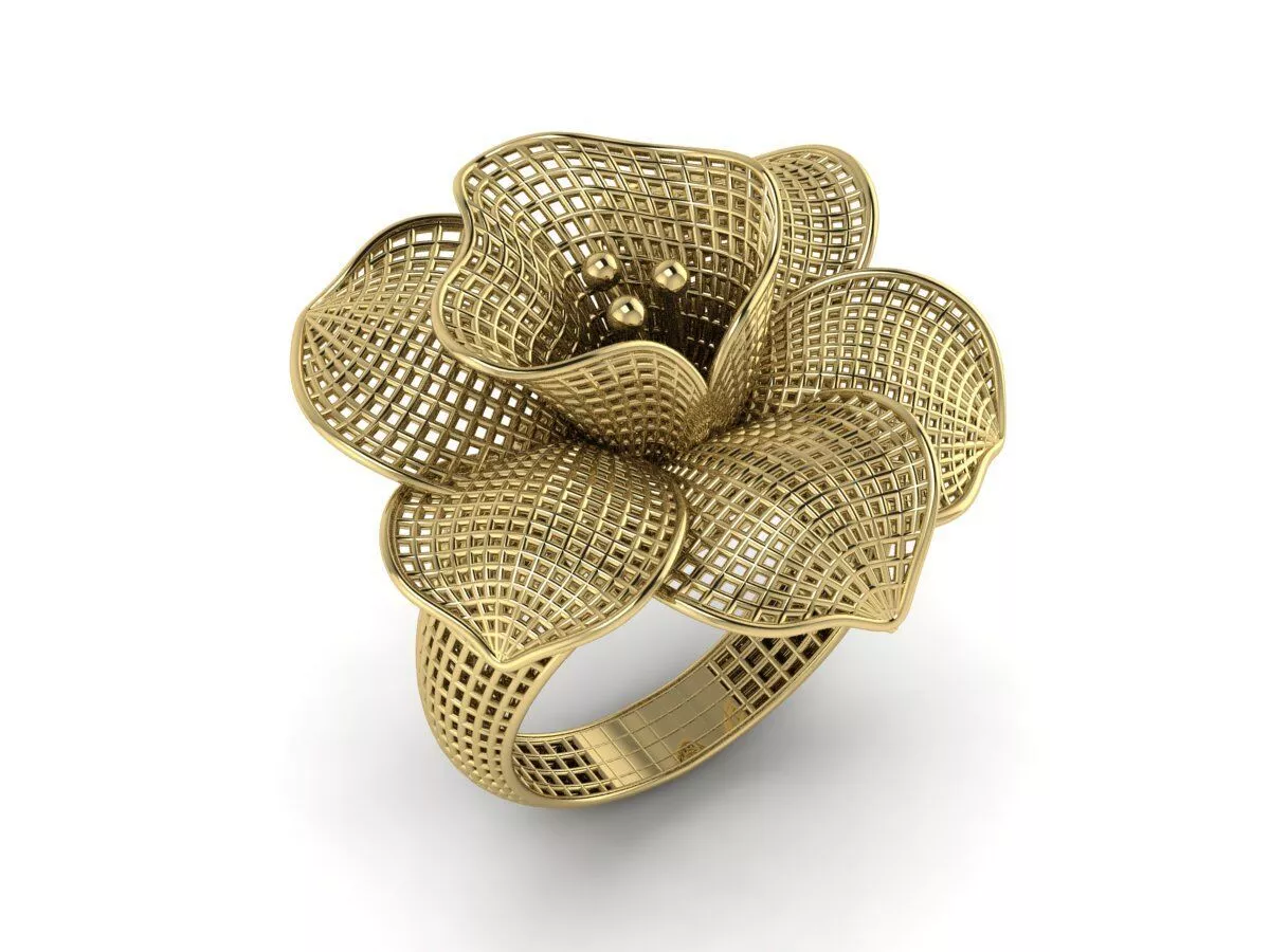 Ultra Vision Ring 3D print model
