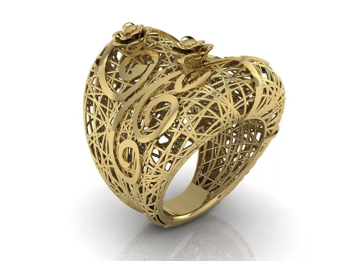 Ultra Vision Ring 3D print model
