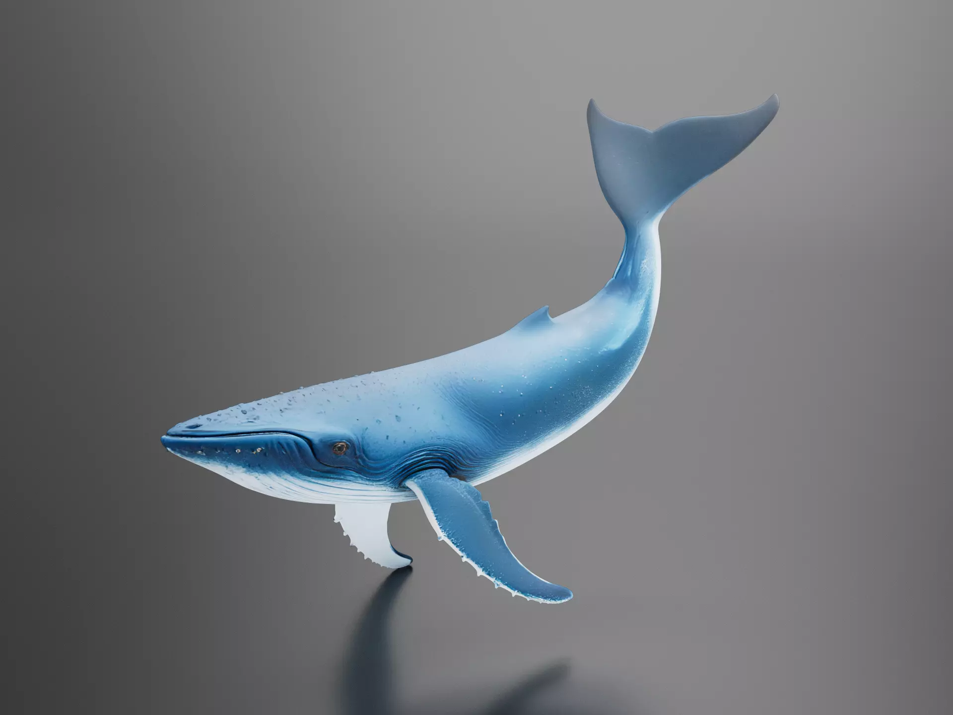 Blue Whale 3D print model
