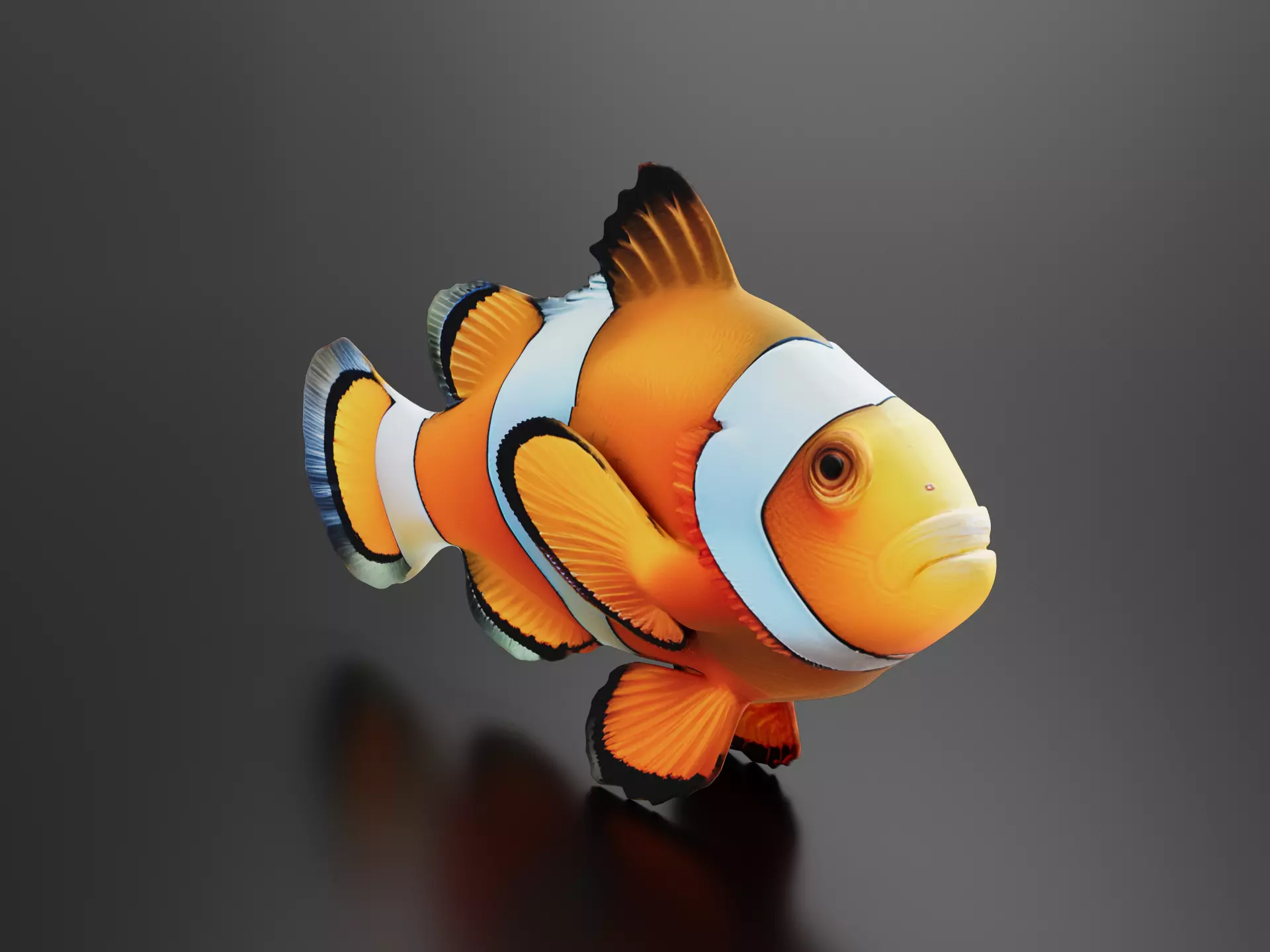 Clownfish 3D print model
